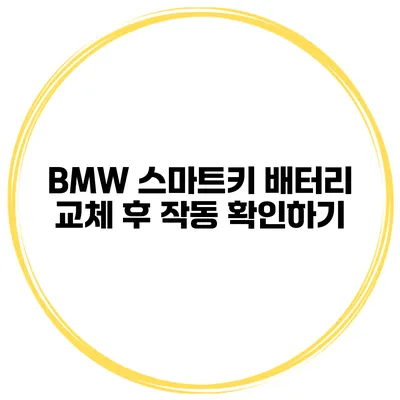 BMW 스마트키 배터리 교체 후 작동 확인하기