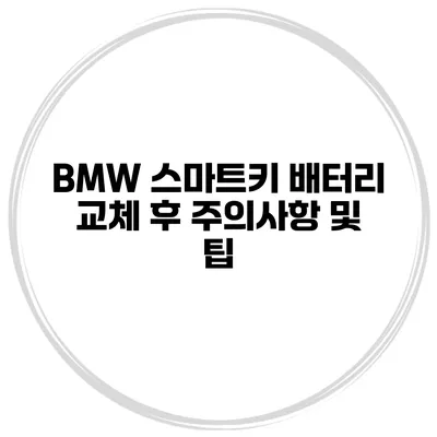 BMW 스마트키 배터리 교체 후 주의사항 및 팁