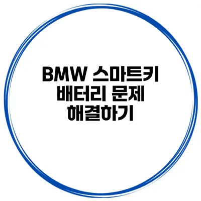 BMW 스마트키 배터리 문제 해결하기