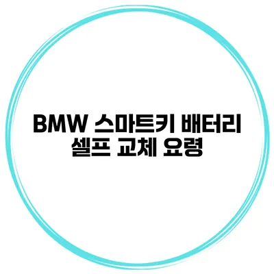 BMW 스마트키 배터리 셀프 교체 요령