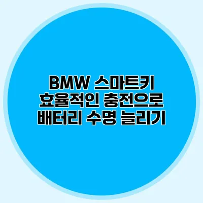 BMW 스마트키 효율적인 충전으로 배터리 수명 늘리기