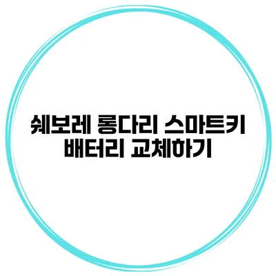 쉐보레 롱다리 스마트키 배터리 교체하기
