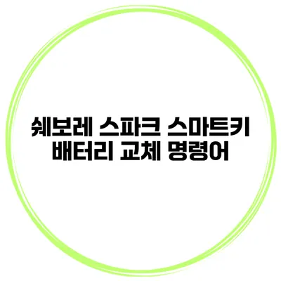 쉐보레 스파크 스마트키 배터리 교체 명령어