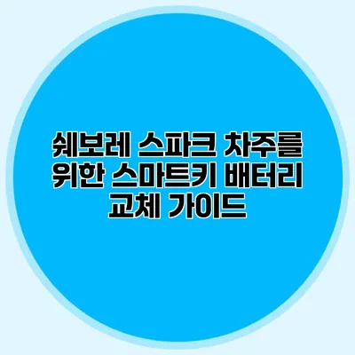 쉐보레 스파크 차주를 위한 스마트키 배터리 교체 가이드