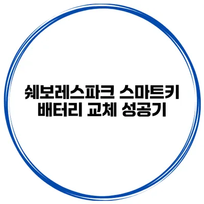 쉐보레스파크 스마트키 배터리 교체 성공기