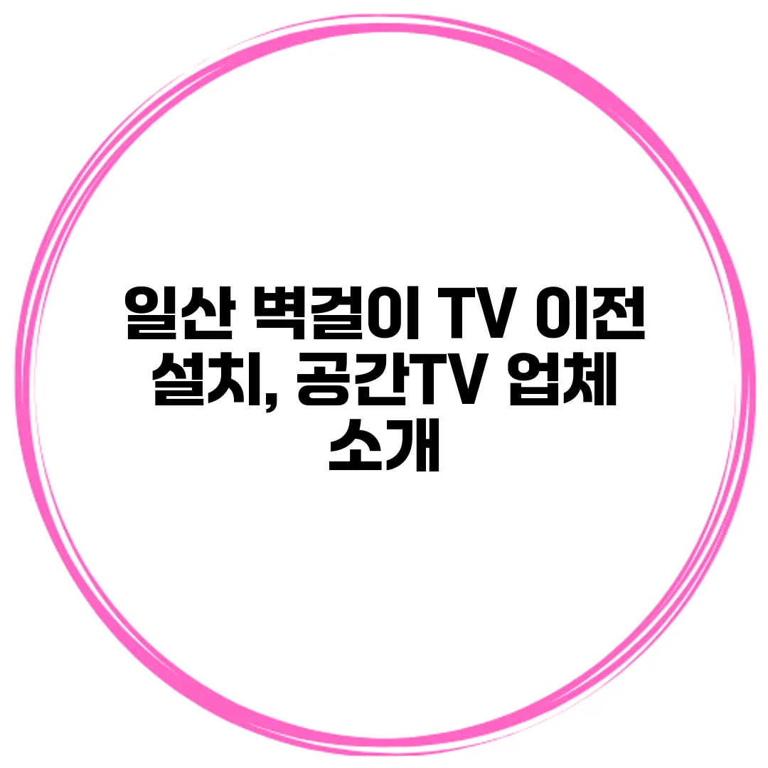 일산 벽걸이 TV 이전 설치, 공간TV 업체 소개