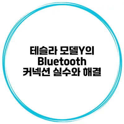 테슬라 모델Y의 Bluetooth 커넥션 실수와 해결